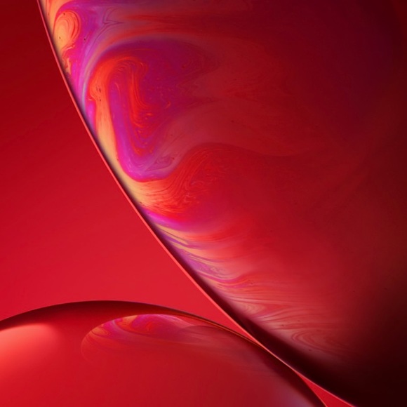 Meet your Posher, Dave - Picture 1 of 1